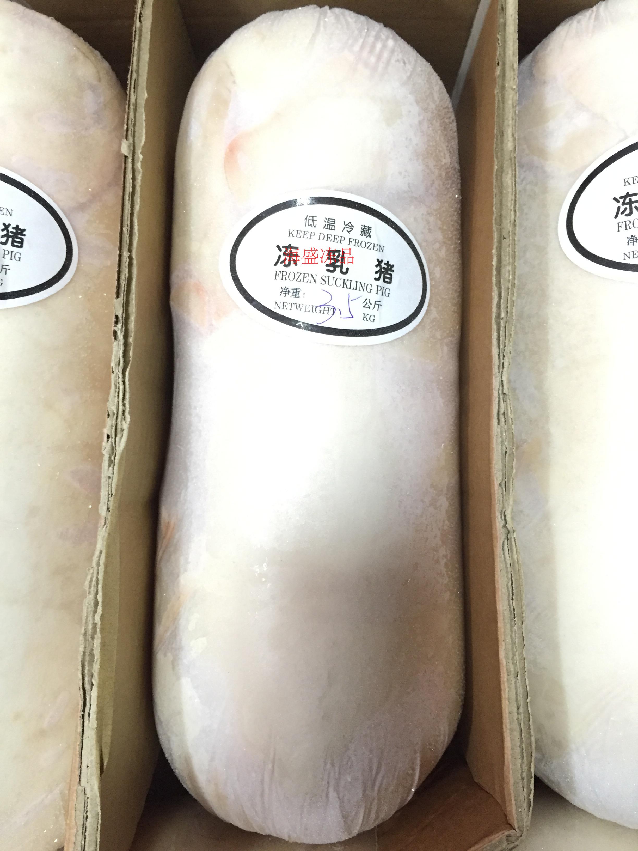 鲜冻乳猪烤脆皮乳猪一只5-5.6斤1只188元各规格齐全 全国多省包邮